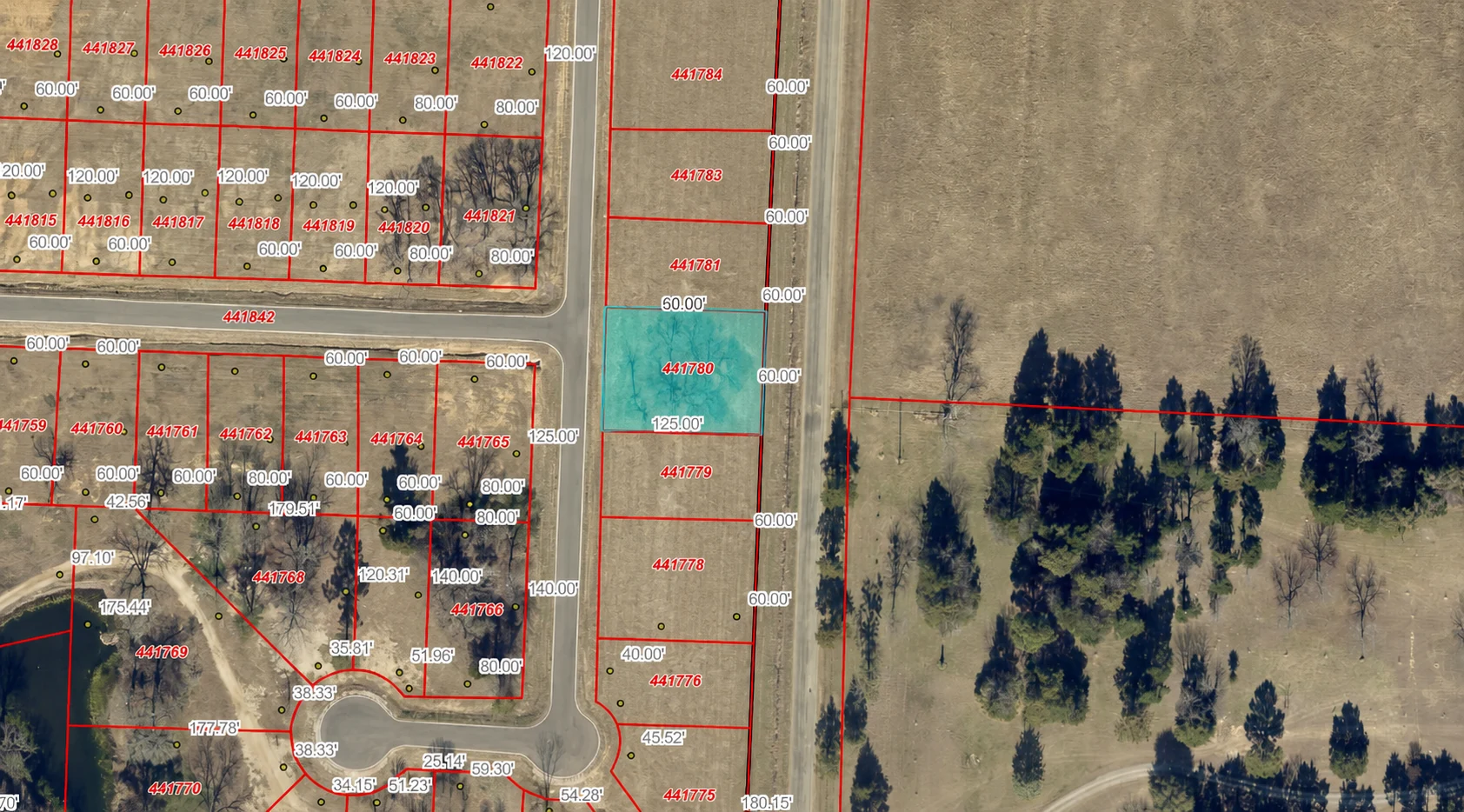 County parcel map highlighting parcel 441780 at 161 Shadow Creek Road